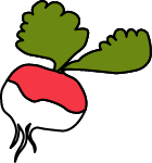 Un beau radis Bio cultivé à Liege Épicerie coopérative bio Eco-responsable